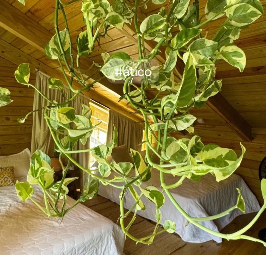 Las Nixaurys Jarabacoa Villa